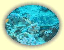 IMG_2007_05_25 18_21_05 * 2272 x 1704 * (612KB)